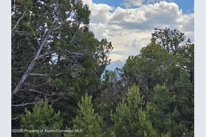 3221 Elk Springs Drive, Glenwood Springs, CO 81601 - Photo 10
