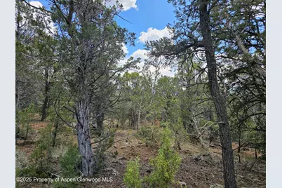 3221 Elk Springs Drive, Glenwood Springs, CO 81601 - Photo 4