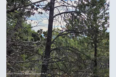 3221 Elk Springs Drive, Glenwood Springs, CO 81601 - Photo 8