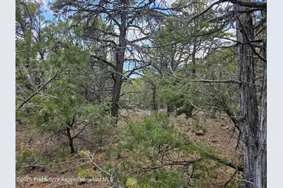 3221 Elk Springs Drive, Glenwood Springs, CO 81601 - Photo 2