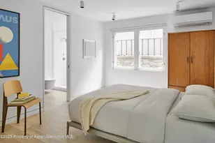 612 W Francis St, Aspen, CO 81611 - Photo 22