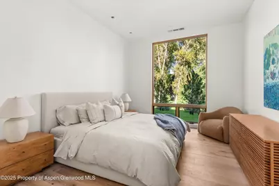 103 Willow Road #204, Basalt, CO 81621 - Photo 10