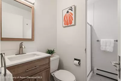 623 Johnson Drive, Aspen, CO 81611 - Photo 22