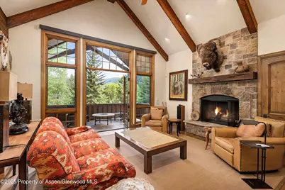 42703 Hwy 82 #Unit B, Aspen, CO 81611 - Photo 10