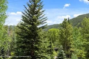 42703 Hwy 82, Aspen, CO 81611 - Photo 36