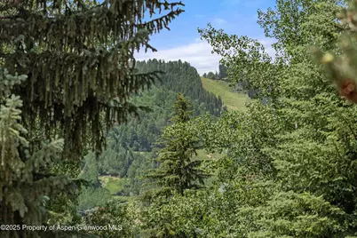 1024 E Hopkins Avenue #16, Aspen, CO 81611 - Photo 16