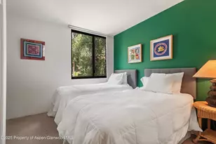 1024 E Hopkins Ave, Aspen, CO 81611 - Photo 10