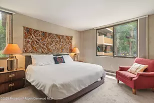 1024 E Hopkins Ave, Aspen, CO 81611 - Photo 8