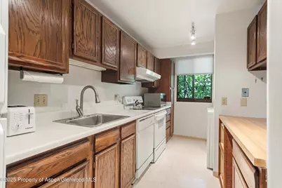1024 E Hopkins Avenue #16, Aspen, CO 81611 - Photo 6