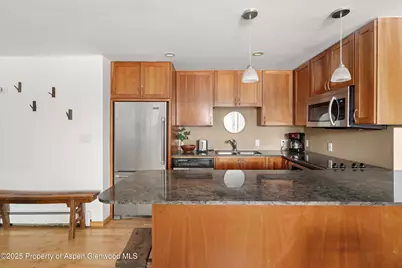935 E Hopkins Avenue #7, Aspen, CO 81611 - Photo 12