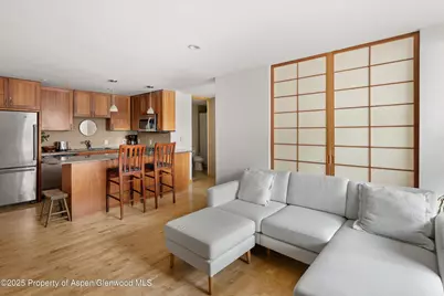 935 E Hopkins Avenue #7, Aspen, CO 81611 - Photo 2