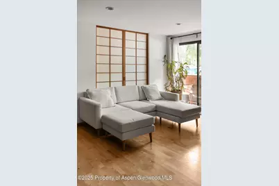 935 E Hopkins Avenue #7, Aspen, CO 81611 - Photo 6