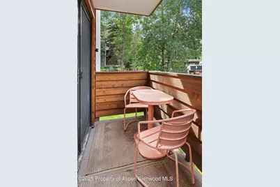 935 E Hopkins Avenue #7, Aspen, CO 81611 - Photo 4