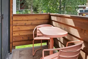 935 E Hopkins Ave, Aspen, CO 81611 - Photo 4