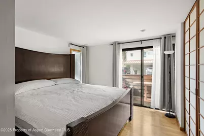 935 E Hopkins Avenue #7, Aspen, CO 81611 - Photo 14