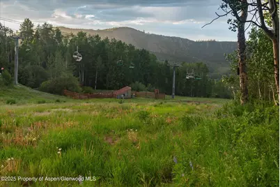 473 Creek Lane, Snowmass Village, CO 81615 - Photo 22
