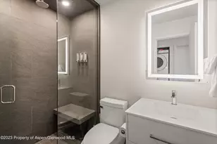 220 W Main St, Aspen, CO 81611 - Photo 10