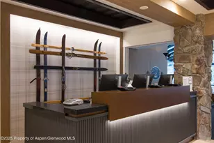 300 Carriage Way, Snowmass Village, CO 81615 - Photo 6