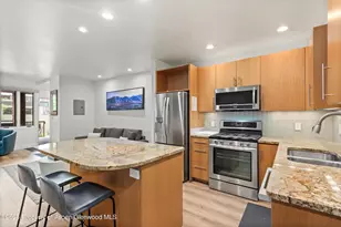 450 S Original St, Aspen, CO 81611 - Photo 4