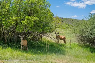 248 Basalt Mountain Dr, Carbondale, CO 81623 - Photo 58