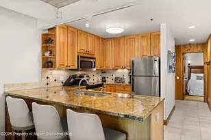 610 S W End St, Aspen, CO 81611 - Photo 8