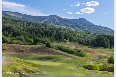 52 Harleston Green #38, Snowmass Village, CO 81615 - Photo 40