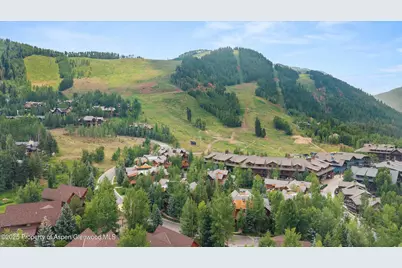 87 Thunderbowl Lane, Aspen, CO 81611 - Photo 74