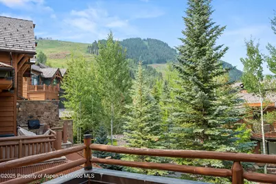 87 Thunderbowl Lane, Aspen, CO 81611 - Photo 48