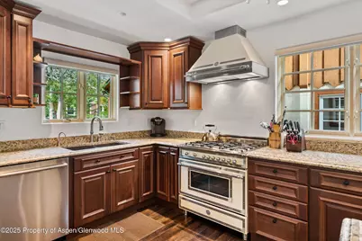 710 S Mill Street #6 & 7, Aspen, CO 81611 - Photo 6