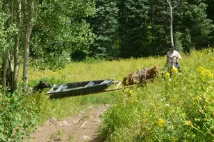 6398 Co Rd 4, Meeker, CO 81641 - Photo 30