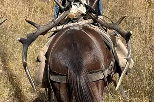 6398 Co Rd 4, Meeker, CO 81641 - Photo 38