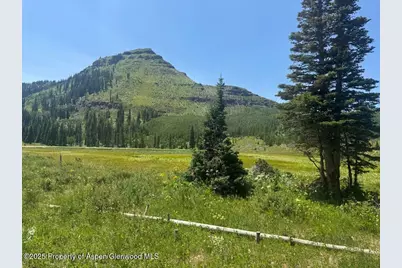 6398 County Road 4, Meeker, CO 81641 - Photo 32