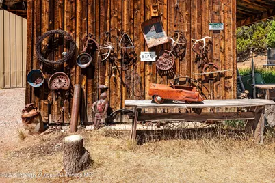 14 Fender Lane, Carbondale, CO 81623 - Photo 44