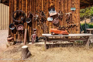 14 Fender Ln, Carbondale, CO 81623 - Photo 44