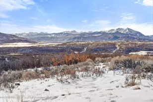 2103 Ten Peaks Mesa Rd, ElJebel, CO 81623 - Photo 20