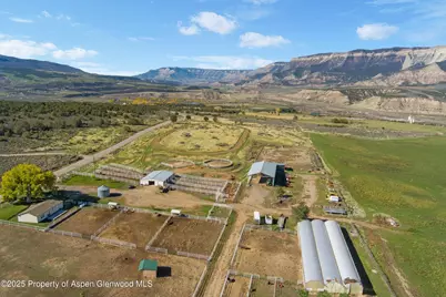 7781 County Road 320, Rifle, CO 81650 - Photo 4