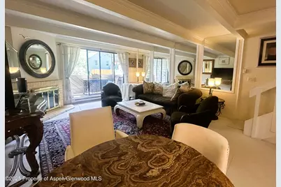 1007 E E Hyman Avenue Avenue #7, Aspen, CO 81611 - Photo 6