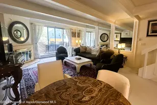 1007 E E Hyman Ave Ave, Aspen, CO 81611 - Photo 6