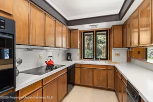 820 Twining Flats Rd, Aspen, CO 81611 - Photo 8