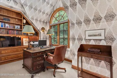 425 W North Street, Aspen, CO 81611 - Photo 22