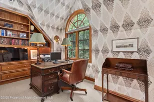 425 W North St, Aspen, CO 81611 - Photo 22