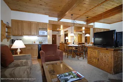 301 E Hyman Avenue #105 (Wks. 20,21,44), Aspen, CO 81611 - Photo 6
