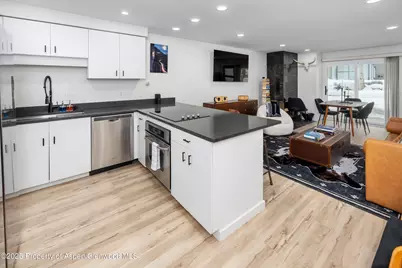 100 E Dean Street #Unit 1-D, Aspen, CO 81611 - Photo 10