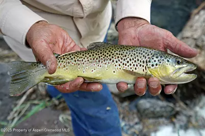 2650 Sweetwater Road, Gypsum, CO 81637 - Photo 32