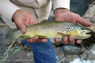 2650 Sweetwater Rd, Gypsum, CO 81637 - Photo 32