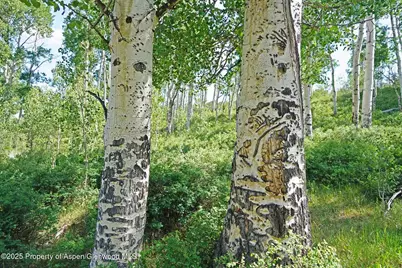 2650 Sweetwater Road, Gypsum, CO 81637 - Photo 78