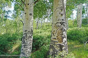 2650 Sweetwater Rd, Gypsum, CO 81637 - Photo 78