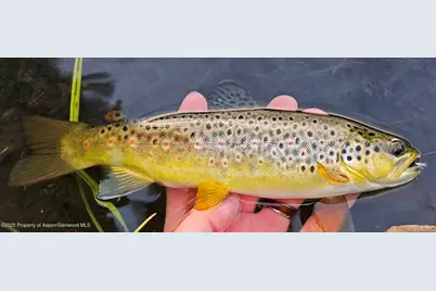 2650 Sweetwater Road, Gypsum, CO 81637 - Photo 22