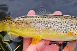 2650 Sweetwater Rd, Gypsum, CO 81637 - Photo 22