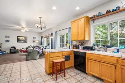 456 Black Bear Trail, Carbondale, CO 81623 - Photo 6